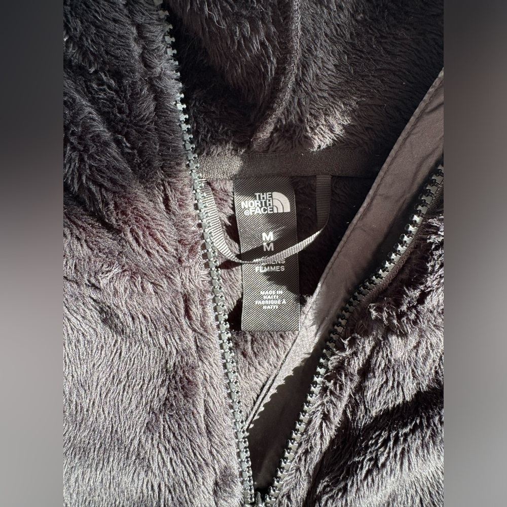 Cropped north face hoodie